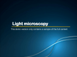Light microscopy