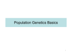 Lecture 23 (11/16/2007): Population Genetics