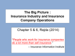The Big Picture : Insurance Industry and Insurance Company