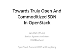 Towards truly open and commoditized Sdn in openstack