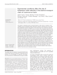 Experimental conditions affect the site of tetrazolium