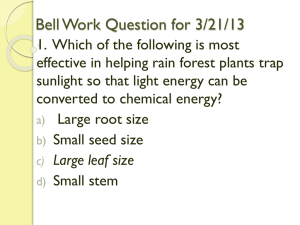 Quarter 4 Bell Work Questions