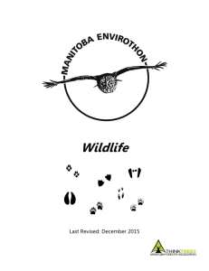 Wildlife Document - Manitoba Forestry Association