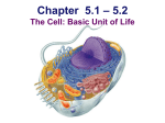 Lecture 009--Intro to Cells
