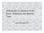 Palpation and Special Tests