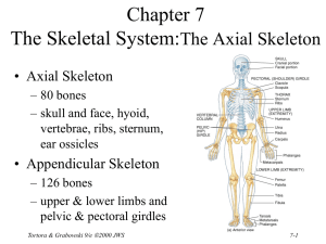 Chapter 7 and 9 PowerPoint