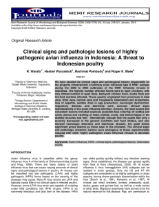 Clinical signs and pathologic lesions of highly pathogenic avian