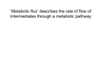 `Metabolic flux` describes the rate of flow of intermediates through a