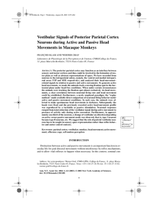 Vestibular Signals of Posterior Parietal Cortex Neurons during