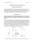 A COMPUTATIONAL STUDY OF -SCN