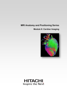 MRI Anatomy and Positioning Series