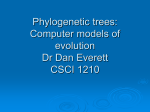 Constructing phylogenetic trees