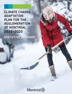 Climate change adaptation plan for the
