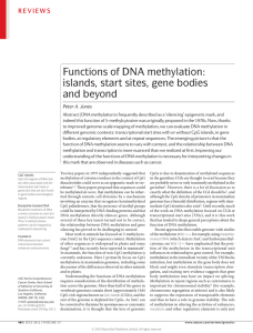 Functions of DNA methylation: islands, start sites, gene bodies and