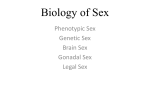 Biology of Sex - animalscience.tamu.edu