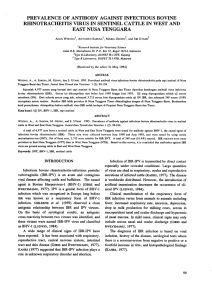 prevalence of antibody against infectious bovine rhinotracheitis virus