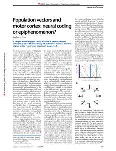 Population vectors and motor cortex: neural coding or