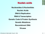 The nucleic acids - faculty at Chemeketa