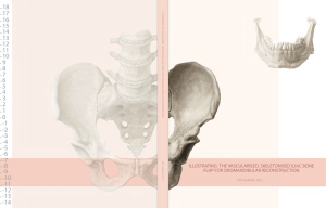 illustrating the vascularised, skeletonised iliac