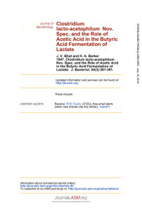 Lactate Acid Fermentation of Acetic Acid in the Butyric Spec. and the
