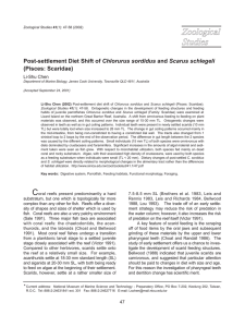 Post-settlement Diet Shift of Chlorurus sordidus and Scarus