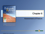 Chapter 6 - Assessment of Posture