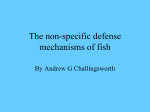 Non specific defense mechanisms of fish