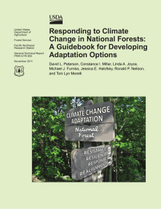 Responding to climate change in national forests: a