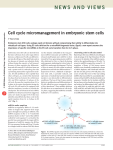news and views Cell cycle micromanagement in