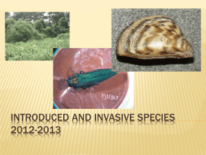 Invasive Species 2010-2011