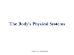 The Body`s Physical Systems
