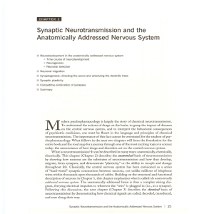 Synaptic Neurotransmission and the Anatomically Addressed