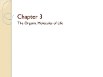 Chapter 3 - Advanced Biology