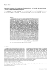 Oncologic Outcomes of Neoadjuvant Chemoradiation for Locally