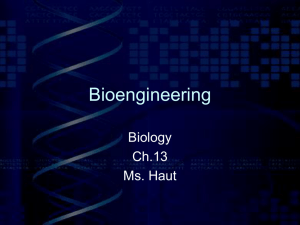 Ch. 13 Bioengineering