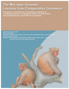 The Macaque Genome: Lessons from Comparative