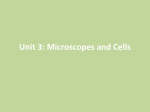 Unit 3: Microscopes and Cells