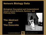 for networks - Vanderbilt Kennedy Center