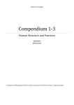 Compendium 1-3