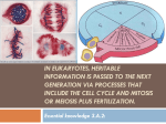 In eukaryotes, heritable information is passed to the