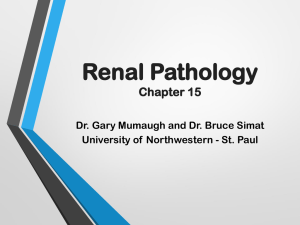 renal pathophysiology ppt