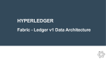 HyperledgerFabric_LedgerV1_20170315