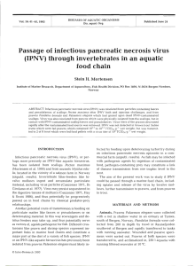 Passage of infectious pancreatic necrosis virus (IPNV) through