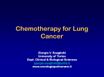 Advances in Clinical Research in Lung Cancer