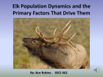 Elk Population Dynamics and the Primary Factors That Drive Them