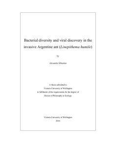 Bacterial diversity and viral discovery in the invasive Argentine ant