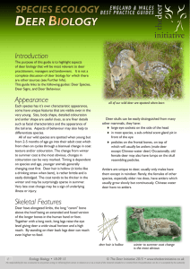 revised Sept 2015 - The Deer Initiative
