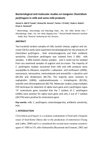 Ashraf Awad Abd-El-Twab_final research of c. perfringens(2)