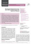 Morphological Relationship between Nerve Fibers and Melanocytes