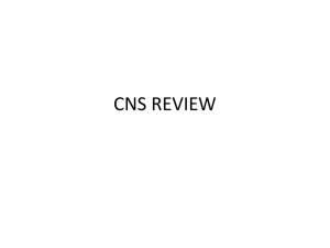 CNS Review